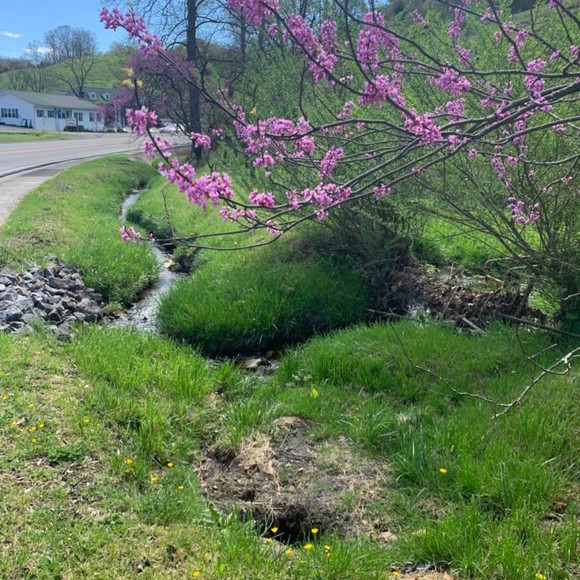 Meet your Posher, Milca - Picture 1 of 1